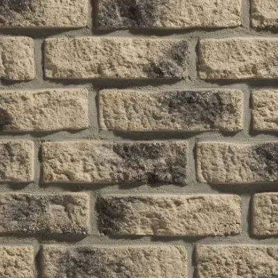 STEGU KAMIEŃ DEKORACYJNY PŁYTKA RUSTIK R1 20,5 x 6 CM