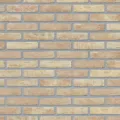 Anderlecht-cegła-fuga-szara.jpg