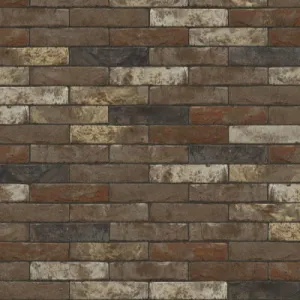 NELISSEN CEGŁA RĘCZNIE FORMOWANA DALI WV65 213x101x65 MM