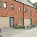 Robinia-5.jpg