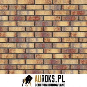 KING KLINKER RAINBOW BRICK PŁYTKA NF 71x240x10 MM 