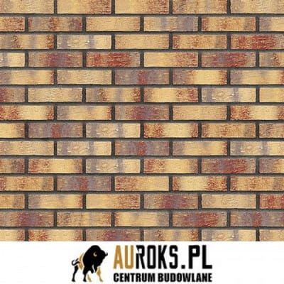PŁYTKA KLINKIEROWA RAINBOW BRICK NF 71x240x10 MM KLINKIER PRZYSUCHA.jpg