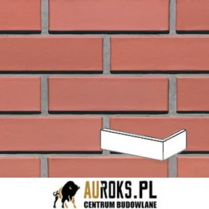 LODE PŁYTKA KĄTOWA KLINKIEROWA KOLOR ALFA 250x120x10x65 MM