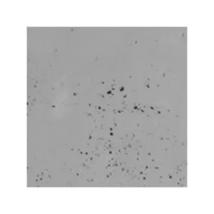 LUXUM BETON ARCHITEKTONICZNY PREMIUM SZARY CIEMNY CEMENTOWY 90x55 GR 1,5 CM 