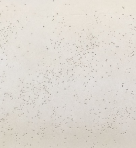 BETON ARCHITEKTONICZNY OLD GREY WEWNĘTRZNY 120X60 - ELASTYCZNY