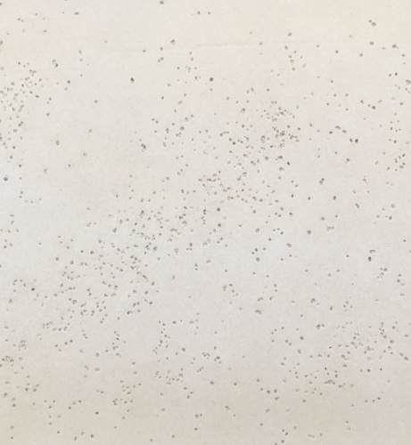 BETON ARCHITEKTONICZNY OLD GREY WEWNĘTRZNY 120X60 - ELASTYCZNY