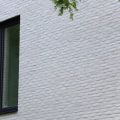 Blanco-1.jpg