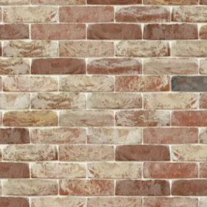 NELISSEN CEGŁA RĘCZNIE FORMOWANA VEGA WV65 213x101x65 MM
