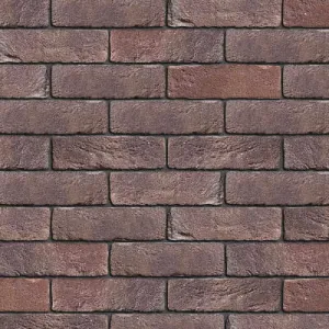 ENGELS CEGŁA RĘCZNIE FORMOWANA ENGELS RUSTIEK GEREDUCEERD DF 215x101x65 MM