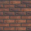 Limburgs-Oranje-Bont-cegła-fuga-czarna.jpg
