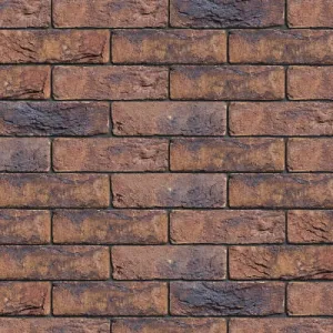 ENGELS CEGŁA RĘCZNIE FORMOWANA KOPER ROODBONT DF 215x101x65 MM