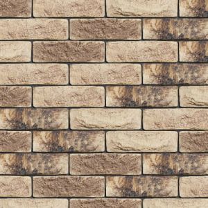 ENGELS CEGŁA RĘCZNIE FORMOWANA ONEGA DF 215x101x65 MM