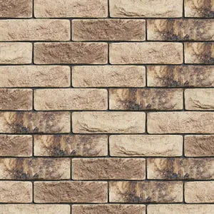 ENGELS CEGŁA RĘCZNIE FORMOWANA ONEGA DF 215x101x65 MM