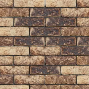 ENGELS CEGŁA RĘCZNIE FORMOWANA OHRID DF 215x101x65 MM