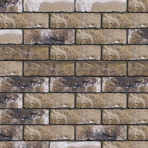 ENGELS CEGŁA RĘCZNIE FORMOWANA TAIGA DF 215x101x65 MM