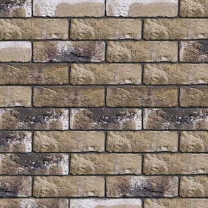 ENGELS CEGŁA RĘCZNIE FORMOWANA TAIGA DF 215x101x65 MM