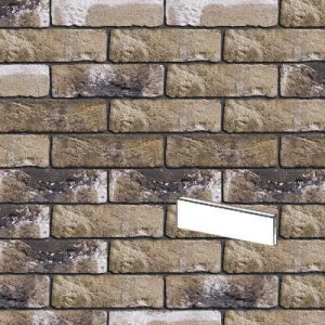 ENGELS PŁYTKA RĘCZNIE FORMOWANA TAIGA DF 215x25x65 MM