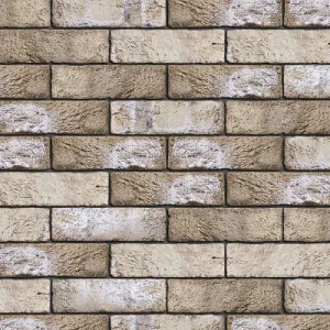 ENGELS CEGŁA RĘCZNIE FORMOWANA MYSTIQUE DF 215x101x65 MM