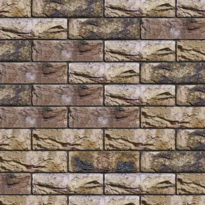 ENGELS CEGŁA RĘCZNIE FORMOWANA BARNSTEEN DF 215x101x65 MM