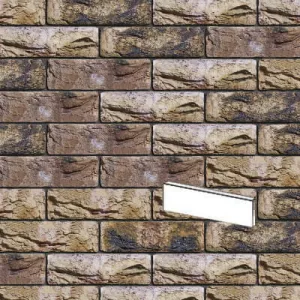 ENGELS PŁYTKA RĘCZNIE FORMOWANA BARNSTEEN DF 215x25x65 MM