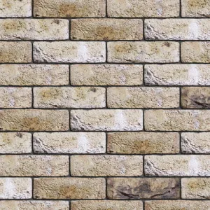 ENGELS CEGŁA RĘCZNIE FORMOWANA CANYON DF 215x101x65 MM
