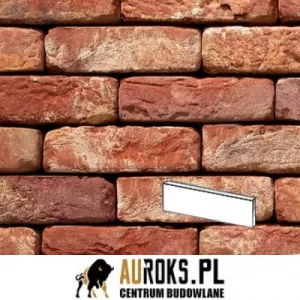 VANDERSANDEN PŁYTKA OUD BRABANT 60 DF 210x20x65 MM 