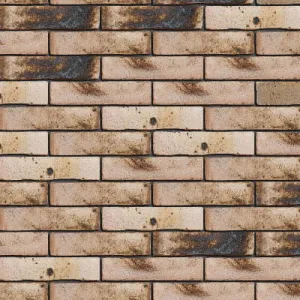 ENGELS CEGŁA VORMBAK GŁADKA ELDORADO DF 215x101x65 MM