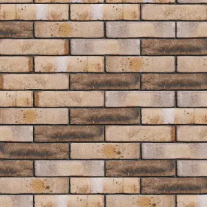 ENGELS CEGŁA VORMBAK GŁADKA GUATAVITA DF 215x101x65 MM