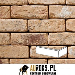 VANDERSANDEN PŁYTKA KĄTOWA OUDE KUSTSTEEN 20 DF 210x100x65X20 MM 