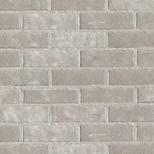 ROBEN CEGŁA PERFOROWANA AARHUS BIAŁO-SZARA NF 240x115x71 MM