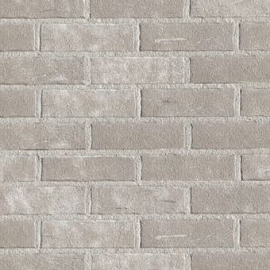 ROBEN CEGŁA PEŁNA AARHUS BIAŁO-SZARA VNF 240x115x71 MM