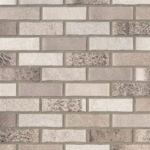 ROBEN CEGŁA PEŁNA DOVER CARBON NF 240x115x71 MM