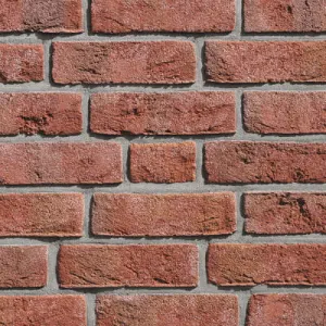ROBEN CEGŁA FORMBACK JASNOCZERWONA NF 240x115x71 MM