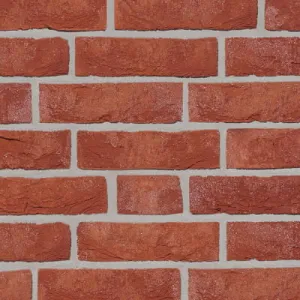 ROBEN CEGŁA FORMBACK CZERWONO-BRĄZOWA NF 240x115x71 MM