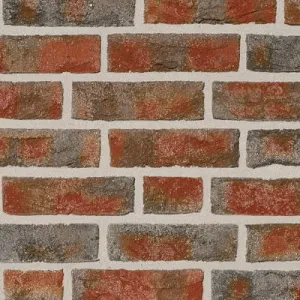 ROBEN CEGŁA FORMBACK CIENIOWANA PODPALANA NF 240x115x71 MM