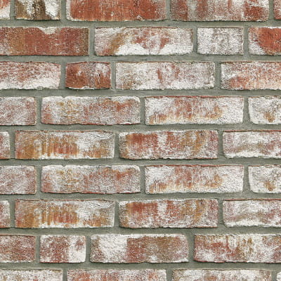 Geestbrand-biala-cieniowana.jpg