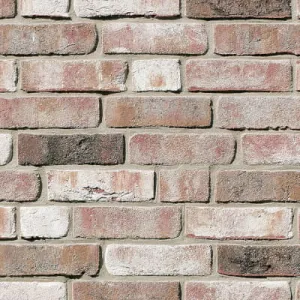 ROBEN CEGŁA GEESTBRAND SREBRNOSZARA NF 240x115x71 MM