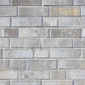 ROBEN CEGŁA PERFOROWANA LYON NIEBIESKO-SZARA NF 240x115x71 MM