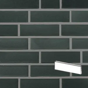 ROBEN PŁYTKA FARO CZARNA CIENIOWANA GŁADKA PENF 240x14x71 MM