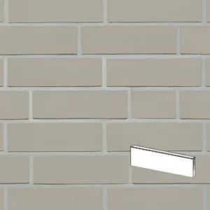 ROBEN PŁYTKA FARO SZARA CIENIOWANA GŁADKA PENF 240x14x71 MM