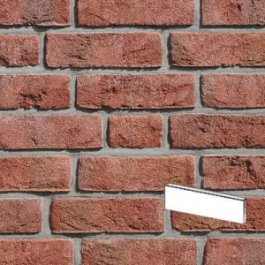 ROBEN PŁYTKA FORMBACK JASNOCZERWONA PENF 240x14x71 MM