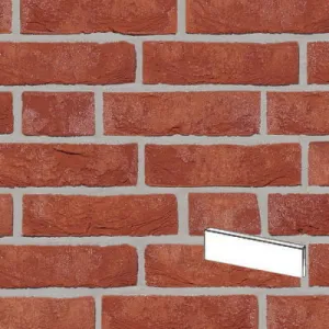 ROBEN PŁYTKA FORMBACK CZERWONO-BRĄZOWA PENF 240x14x71 MM