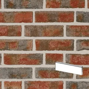 ROBEN PŁYTKA FORMBACK PODPALANA CIENIOWANA PENF 240x14x71 MM