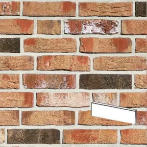 ROBEN PŁYTKA MOORBRAND TORF CIENIOWANA PENF 240x14x71 MM