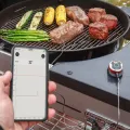 WEBER IGRILL MINI