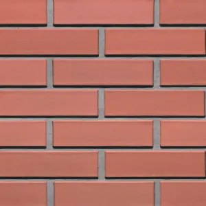 LODE CEGŁA KLINKIEROWA POŁÓWKA KOLOR ALFA RF 250x60x65 MM