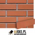 PŁYTKI KLINKIEROWE KOLOR KALAHARI 250x10x65 MM CRH - LHL KLINKIER.jpg