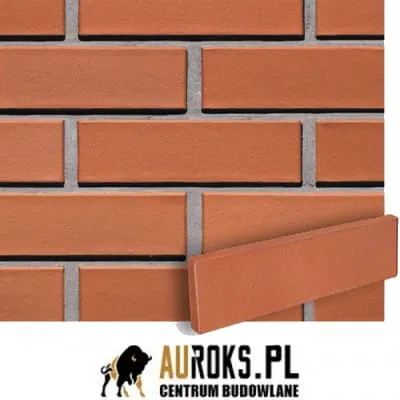 PŁYTKI KLINKIEROWE KOLOR KALAHARI 250x10x65 MM CRH - LHL KLINKIER.jpg