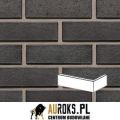 PŁYTKA KĄTOWA KLINKIEROWA KOLOR GALAXY 250x120x10x65 MM CRH - LHL KLINKIER.jpg