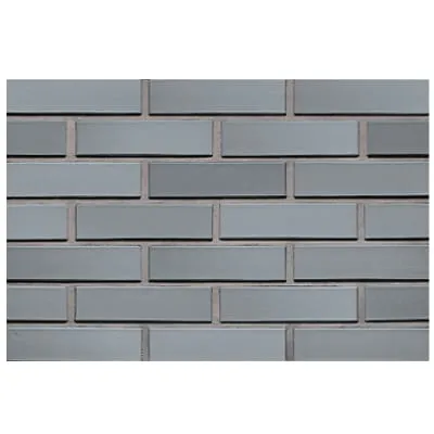 CEGŁA KLINKIEROWA PEŁNA KOLOR SOTIS RF 250x120x65 MM FIRMY LHL KLINKIER.jpg